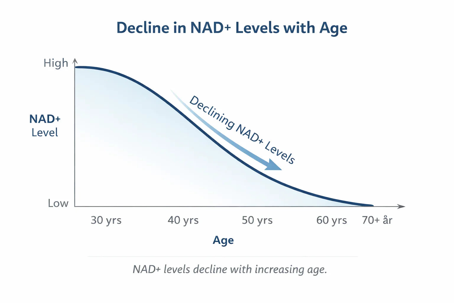 Hvorfor synker NAD⁺-nivåene med alderen – og hva betyr det for kroppen?